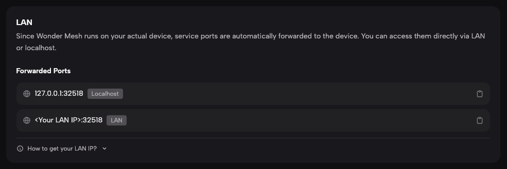 Pestaña de Redes mostrando la dirección de acceso LAN para el servicio desplegado